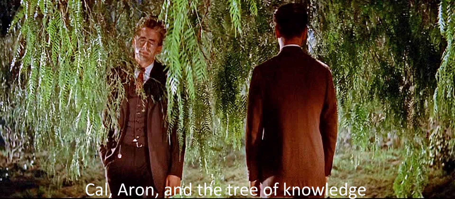 Cal, Aron, and the tree of knowledge