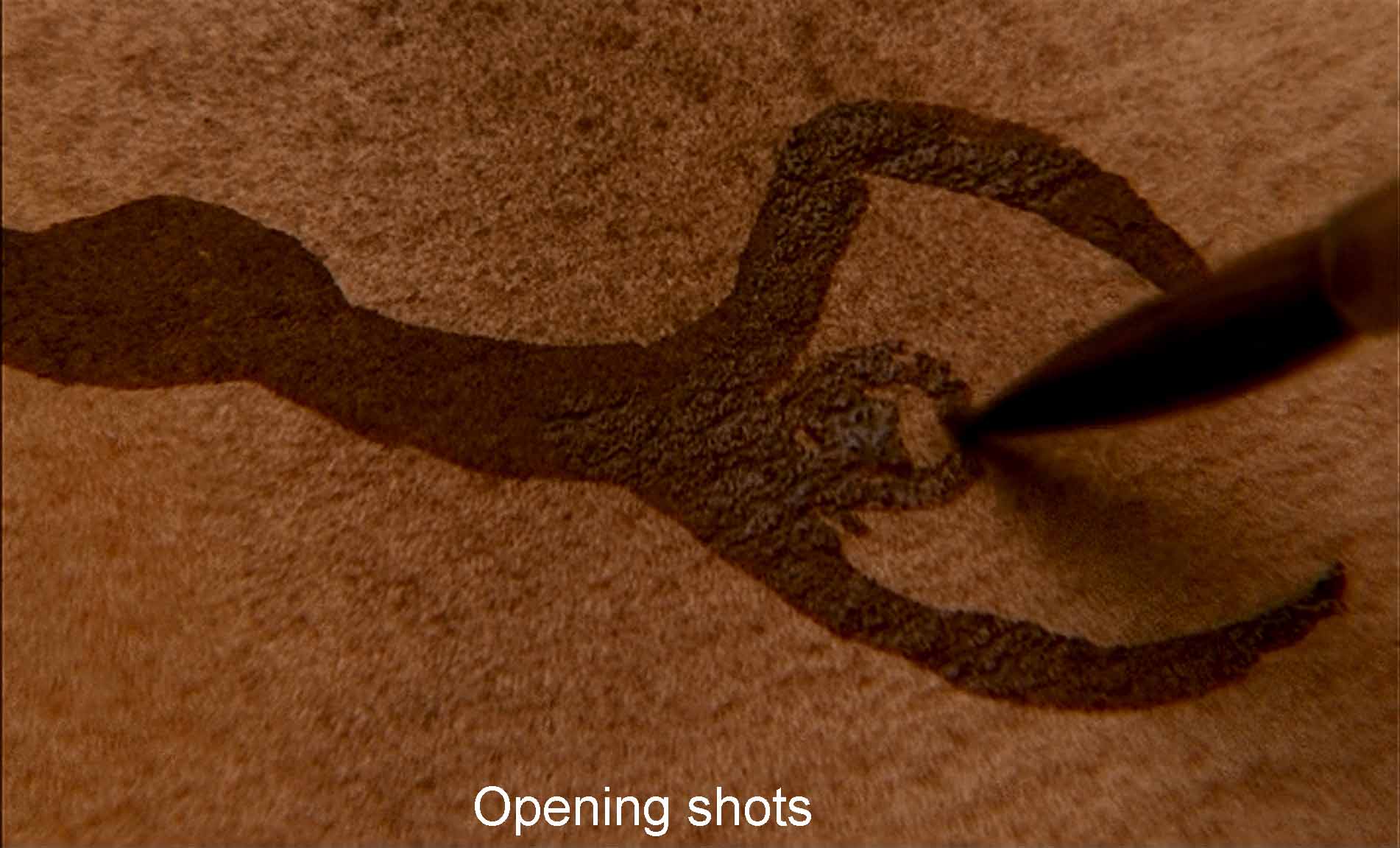 Opening shots