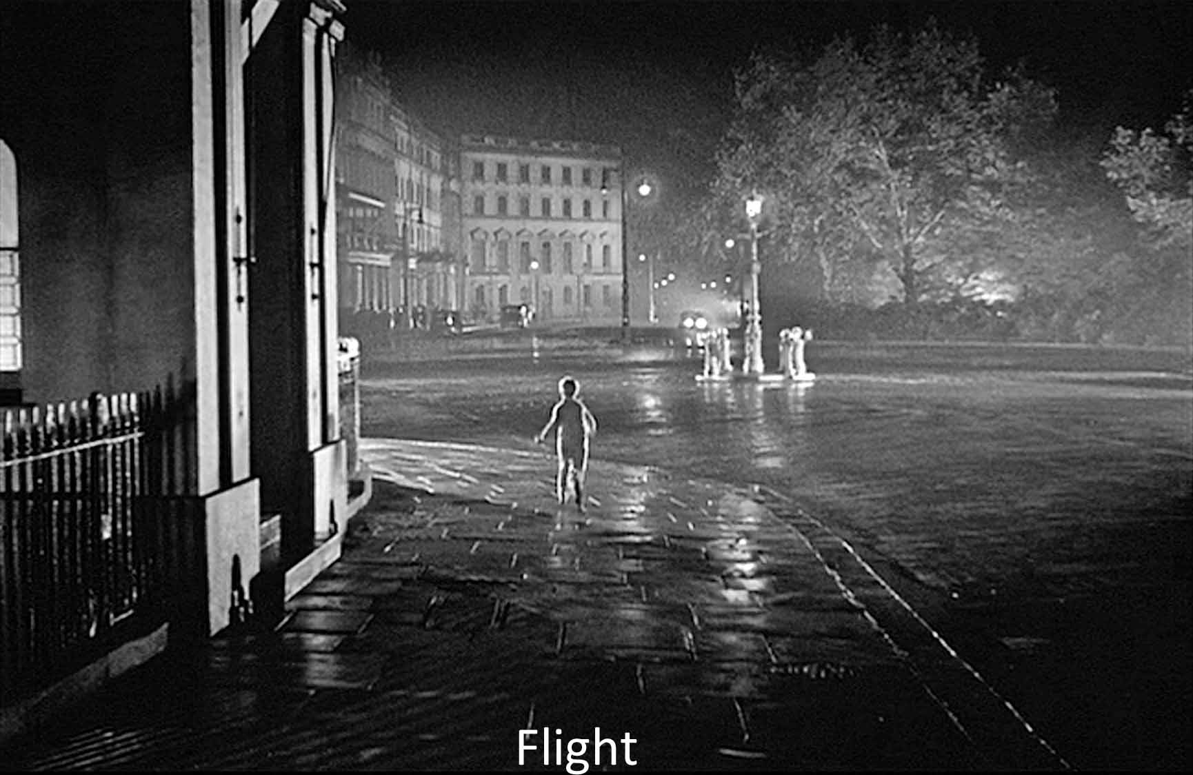 Flight