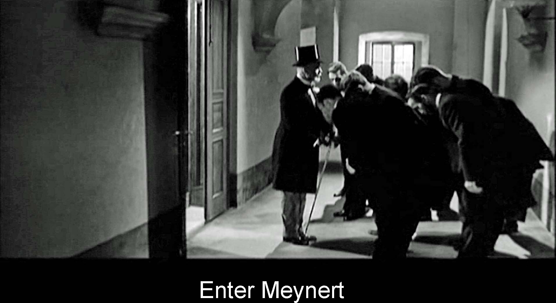 Enter Meynert