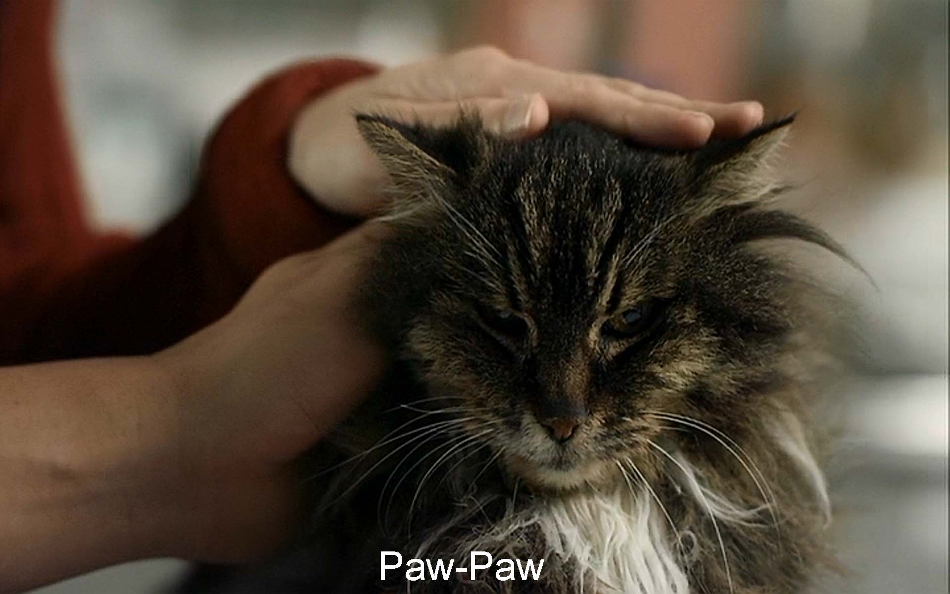 Paw-Paw