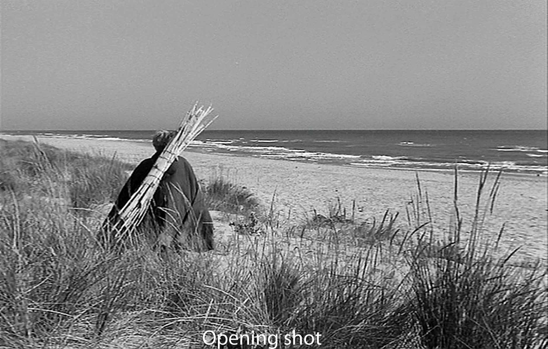 Opening shot
