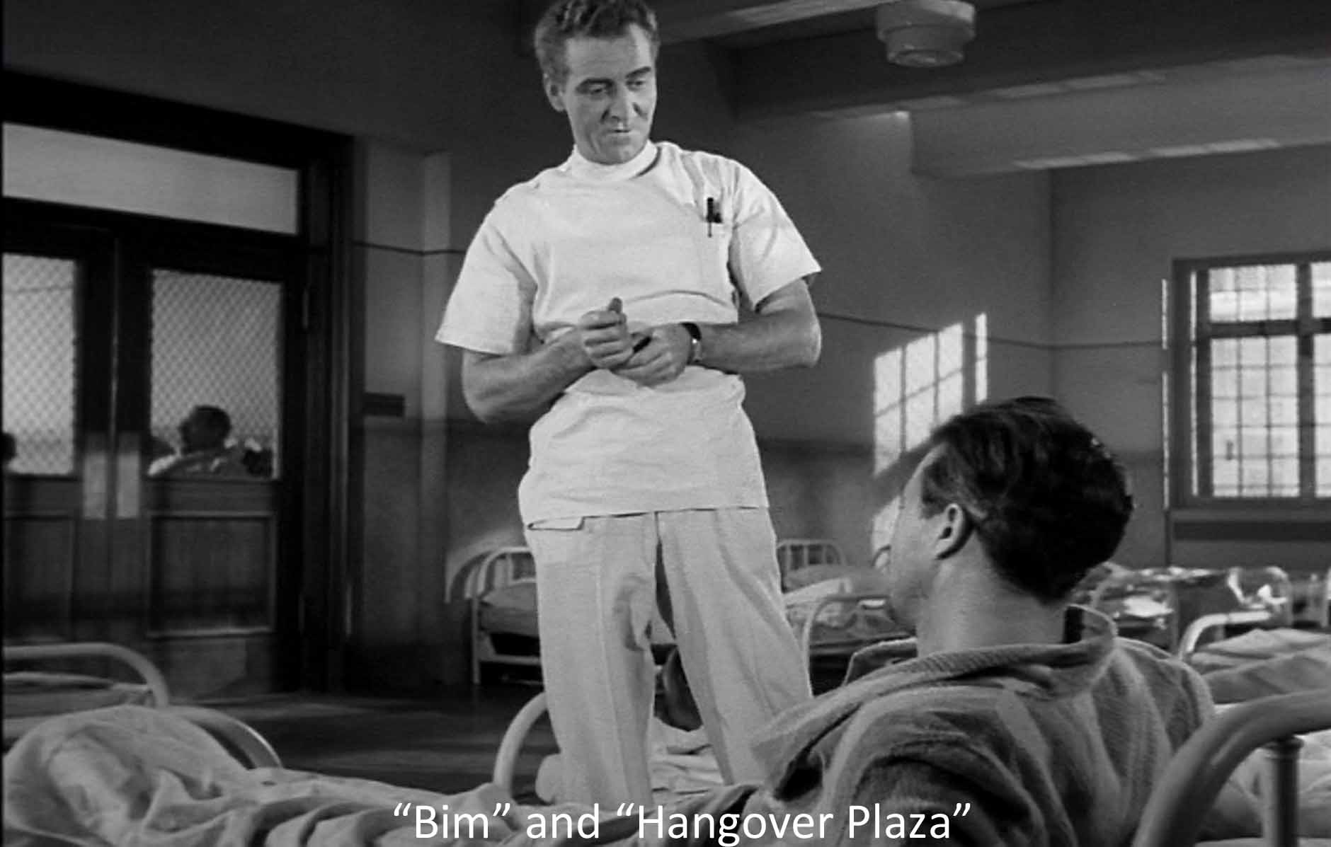  Bim and Hangover Plaza