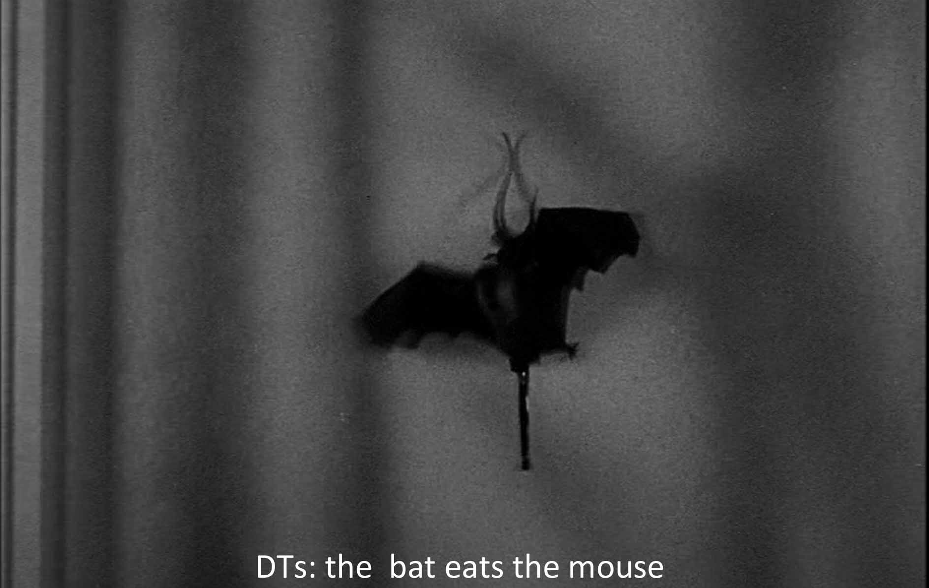 DTs: the bat eats the mouse