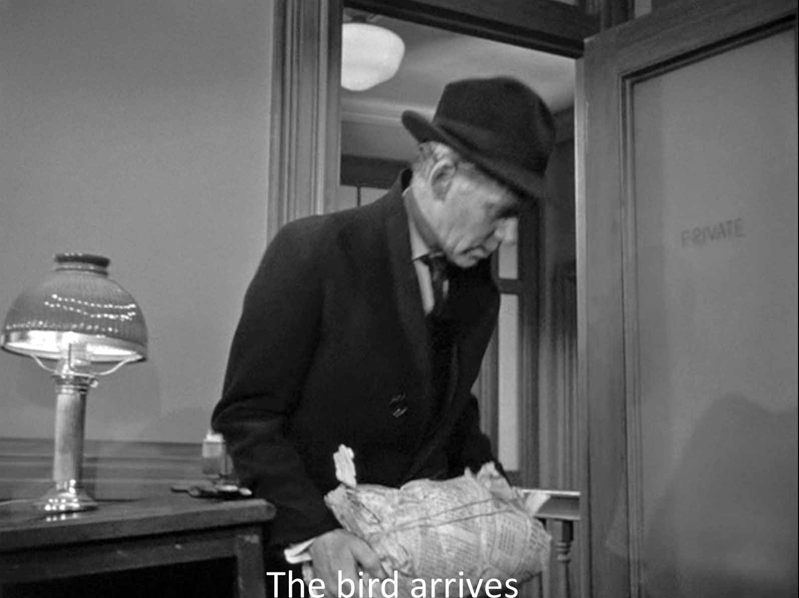 The bird arrives