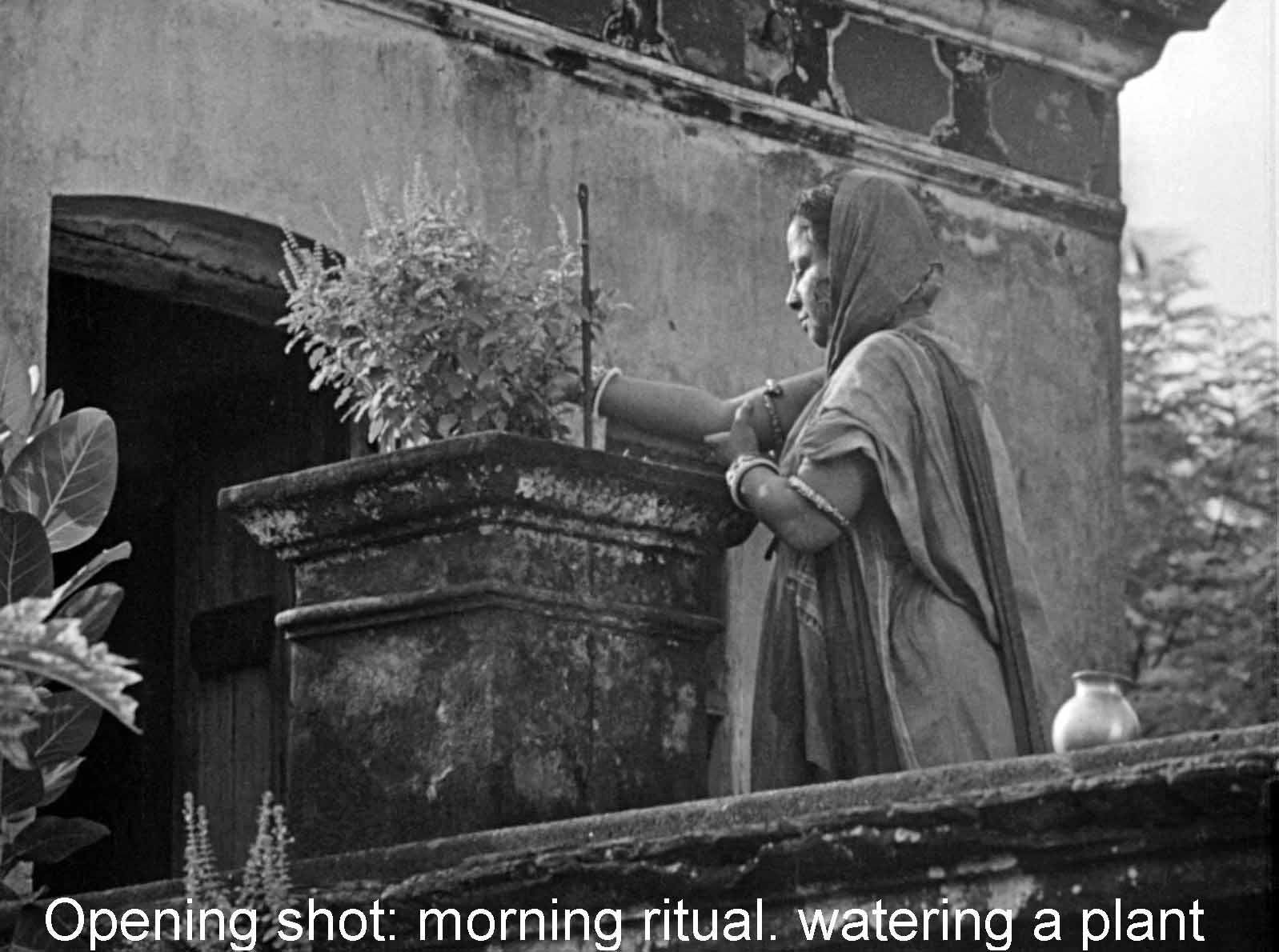 Opening shot: watering a plant