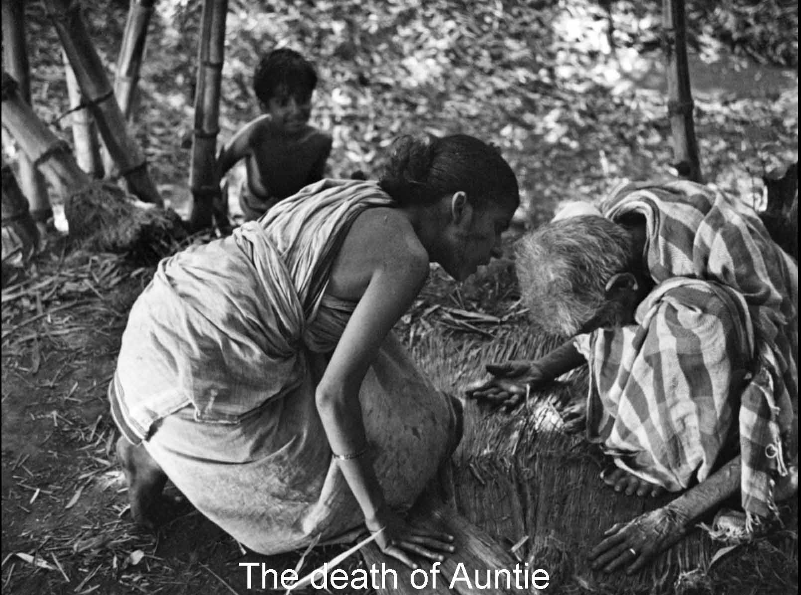 The death of Auntie