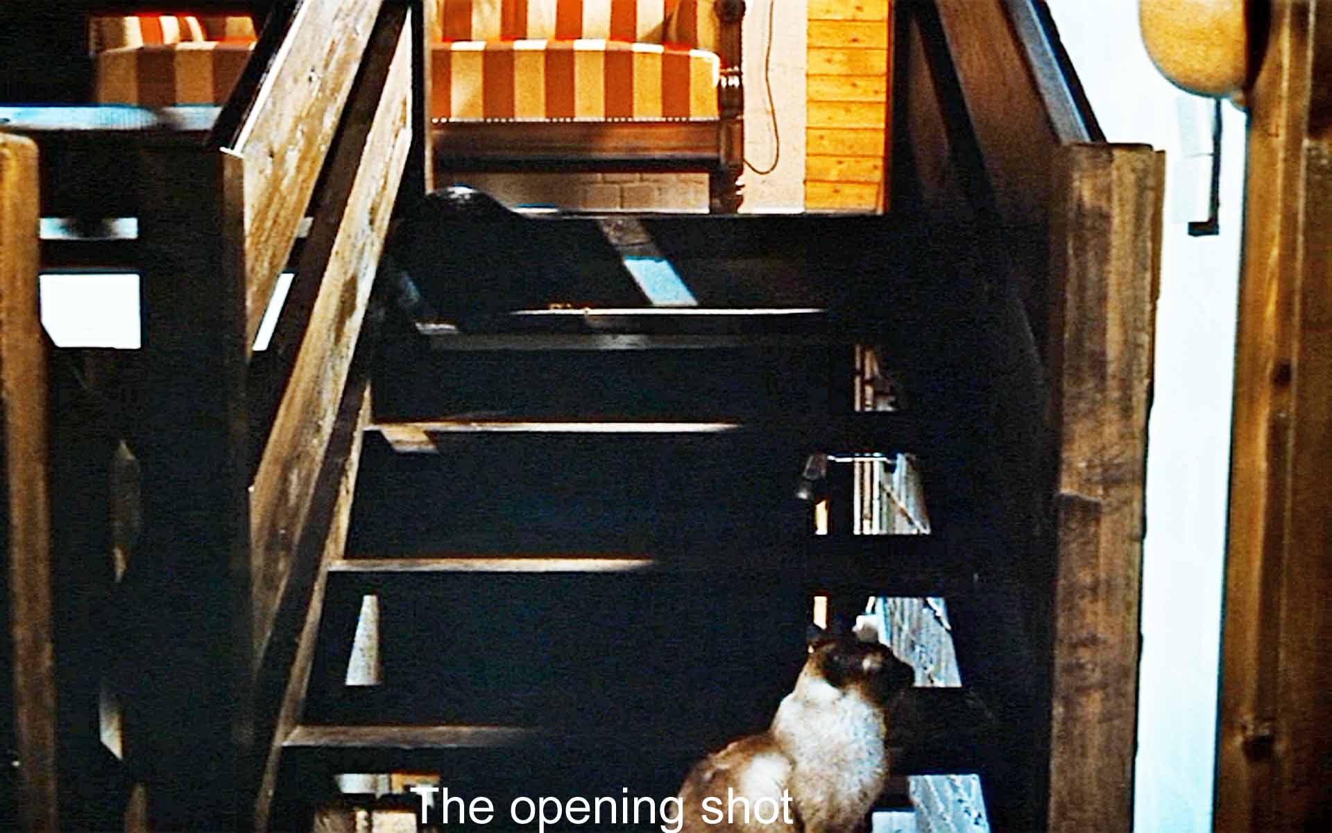 Opening shot
