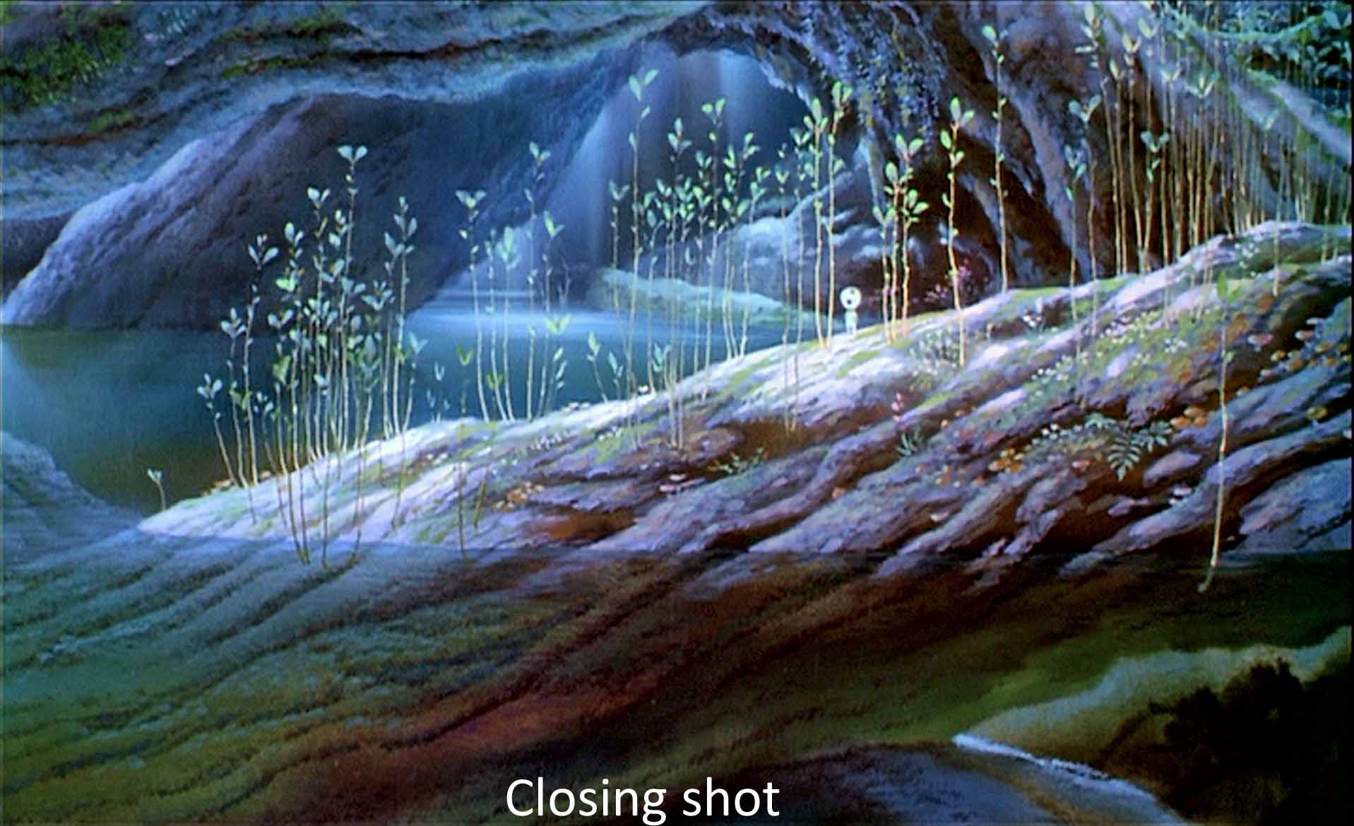 Closing shot