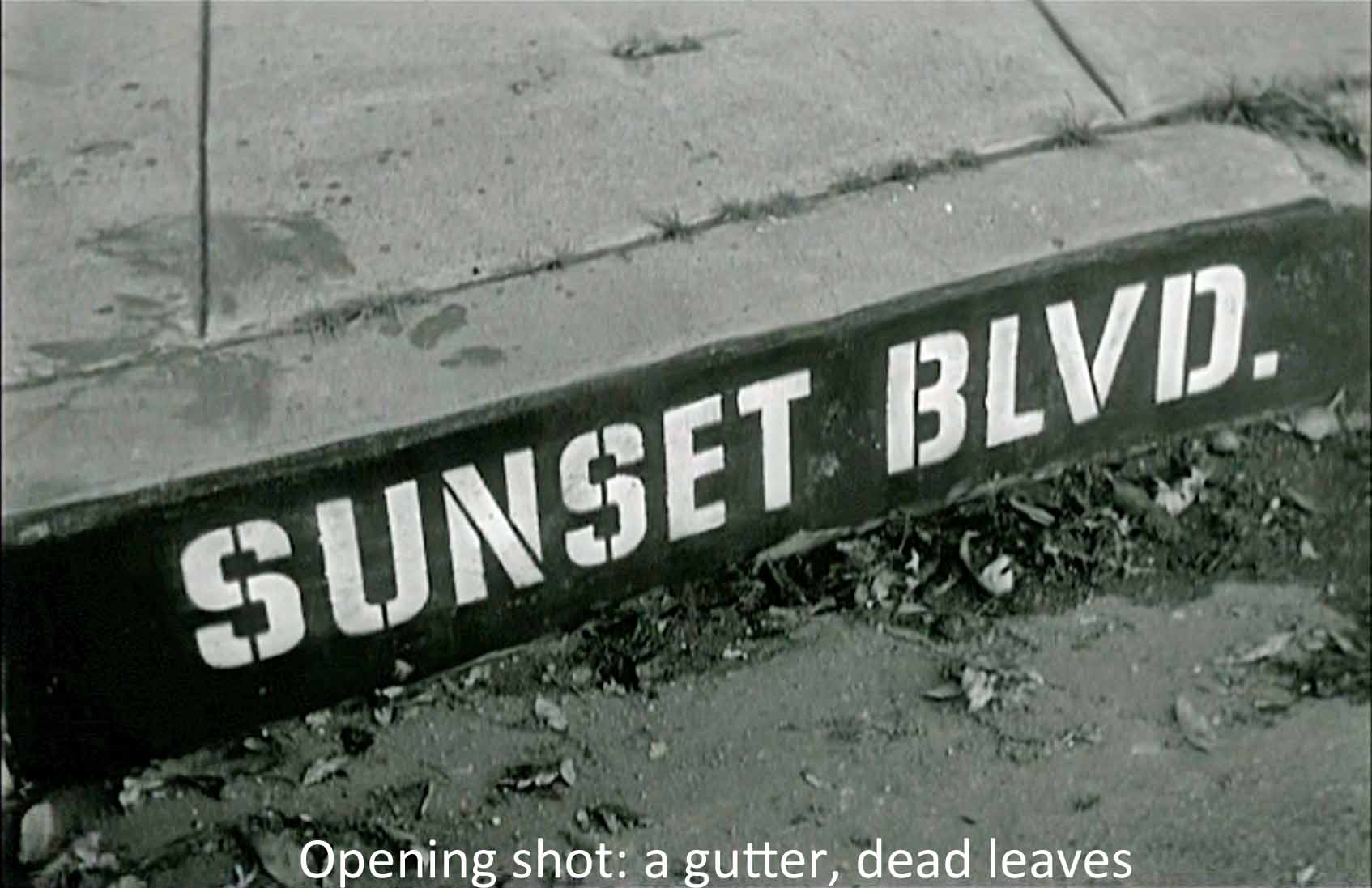 Opening shot: a gutter, dead leaves