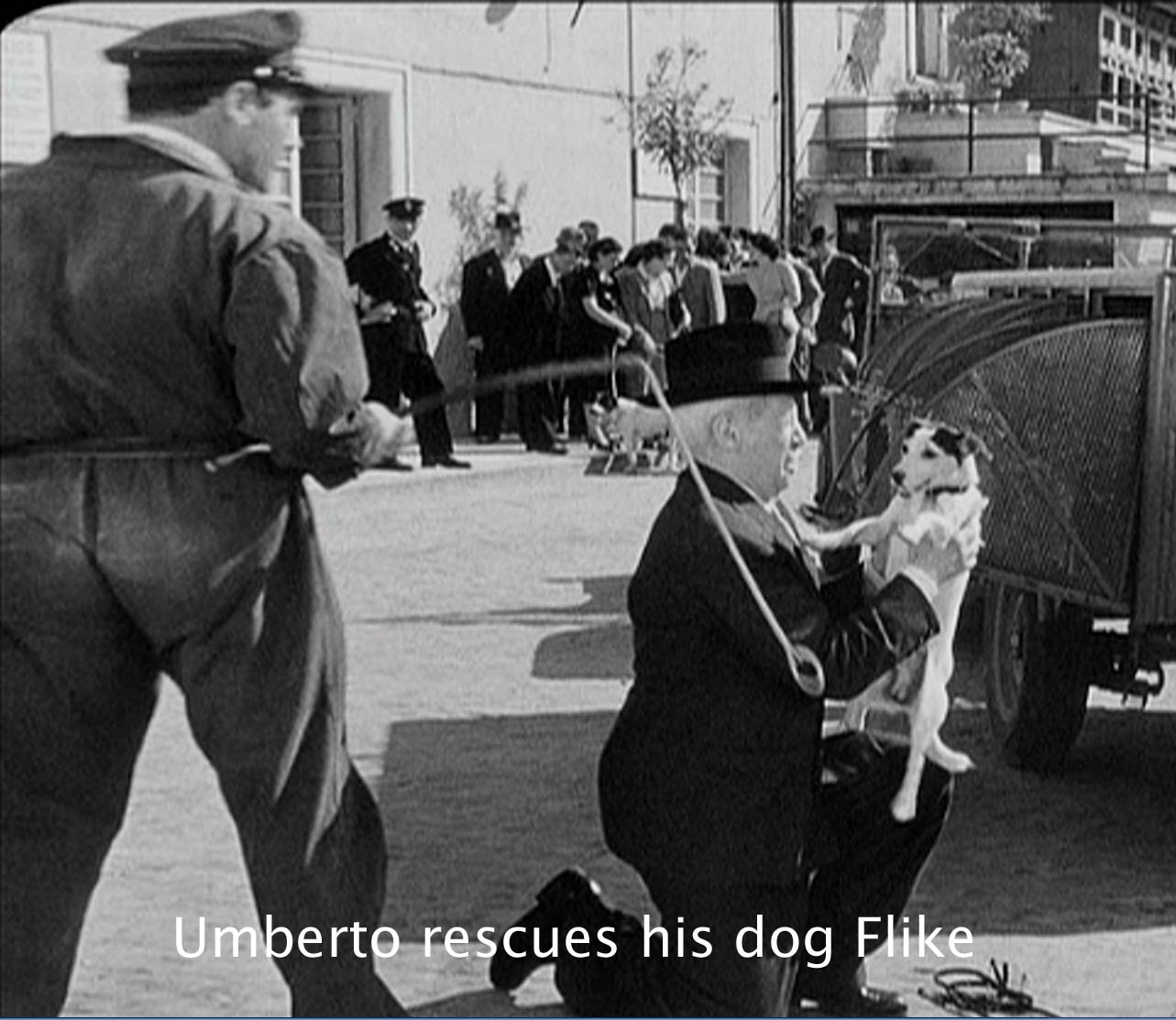 Umberto rescues his dog Flike