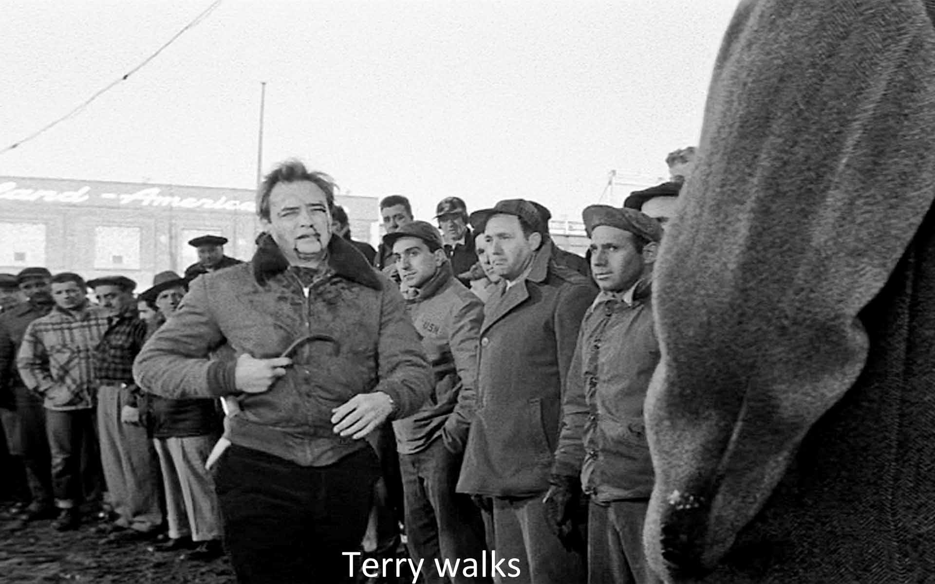 Terry walks