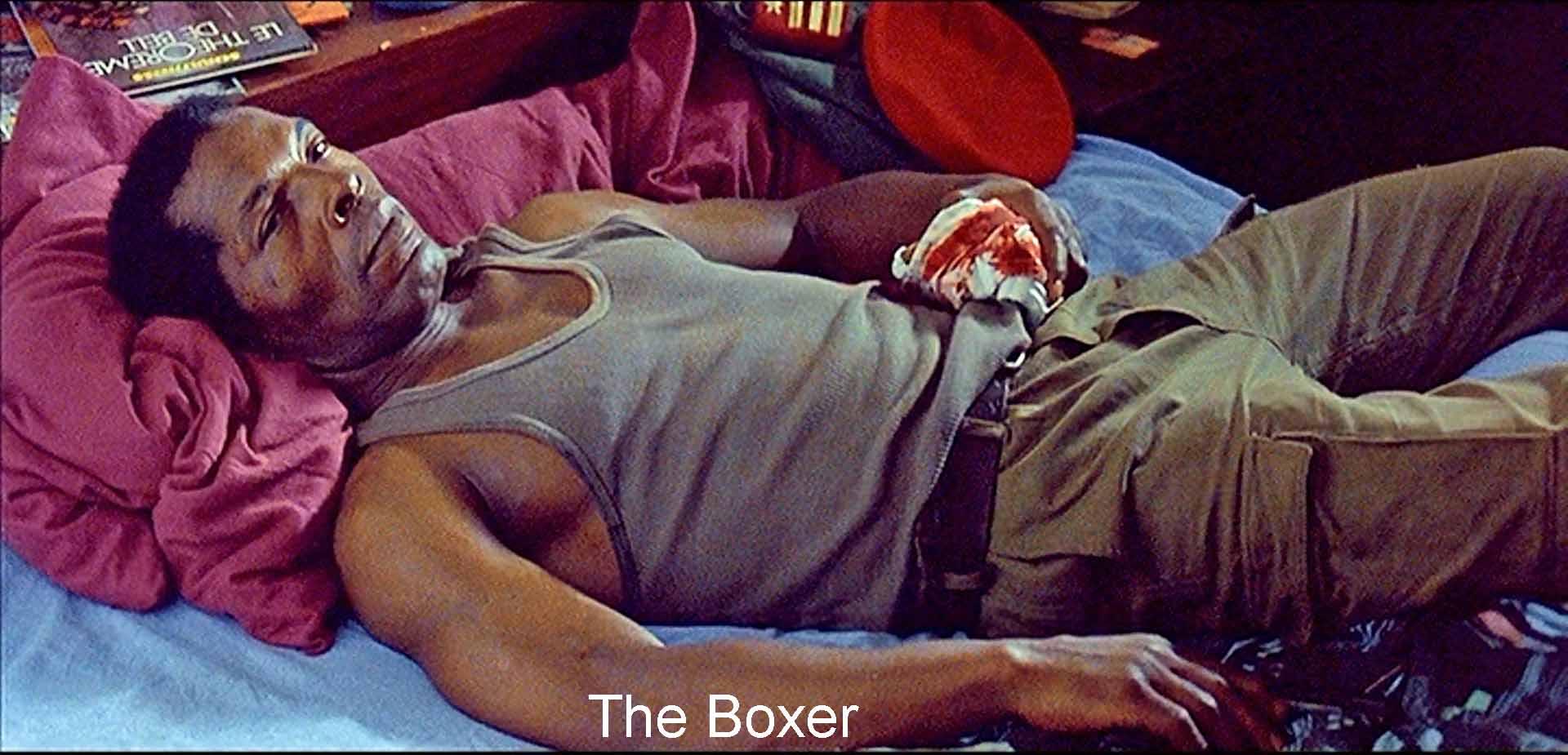 The Boxer