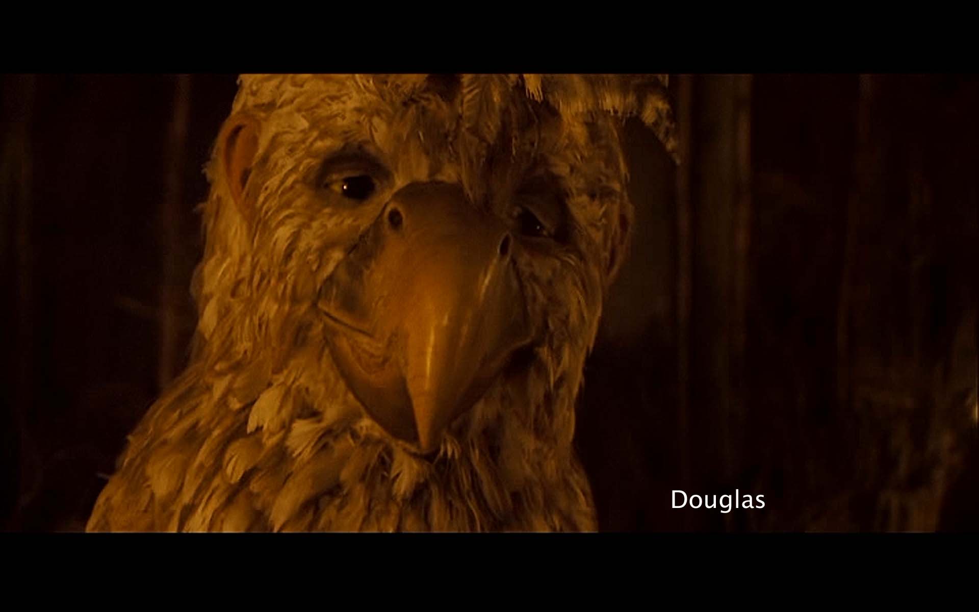 Douglas